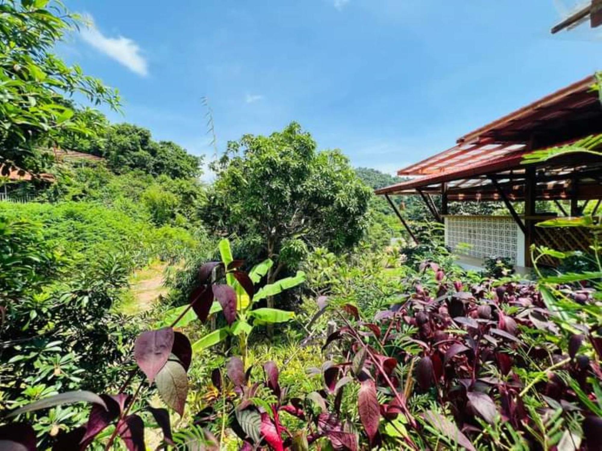 קפ Veranda Natural Resort מראה חיצוני תמונה